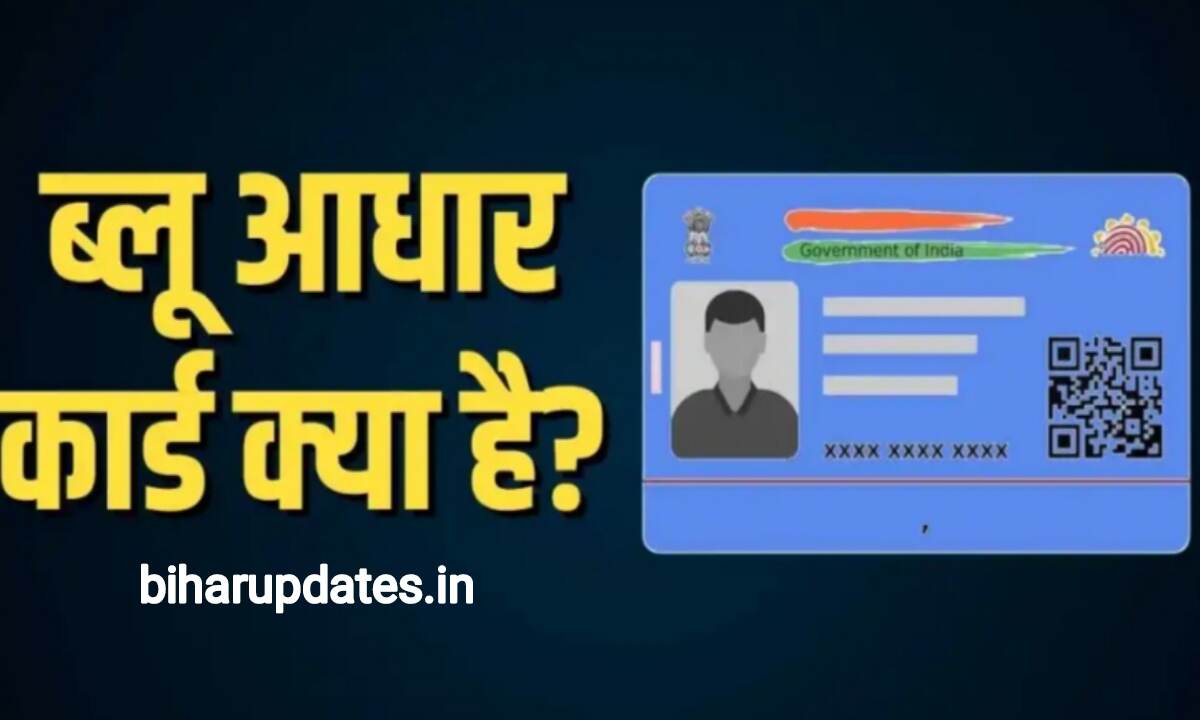 Blue Aadhaar Card : ब्लू आधार कार्ड क्या होता है? और यह किसके लिए लागू किया जाता है यहां जाने यह नियमित आधार कार्ड से कितना अलग है!